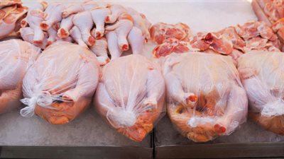 مبررات ارتفاع أسعار الفروج جاهزة … عضو لچنة مربي الدواجن السبب قلة الإنتاج لأن نسبة كبيرة من المربين ما عاد لديهم السيولة للعودة إلى العمل